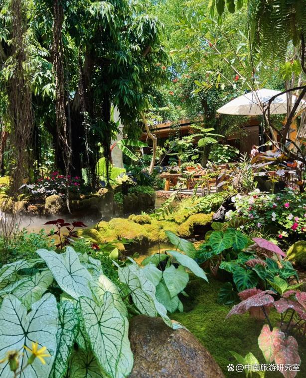 西双版纳旅行多少钱