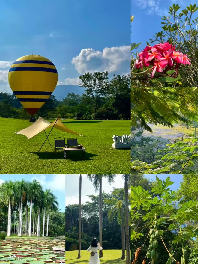 西双版纳旅行多少钱