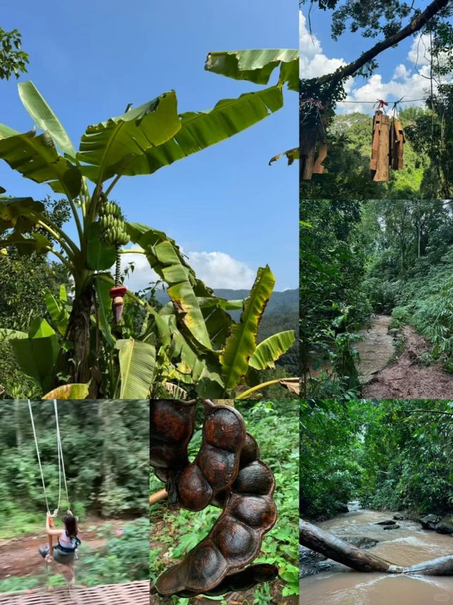 西双版纳旅行多少钱