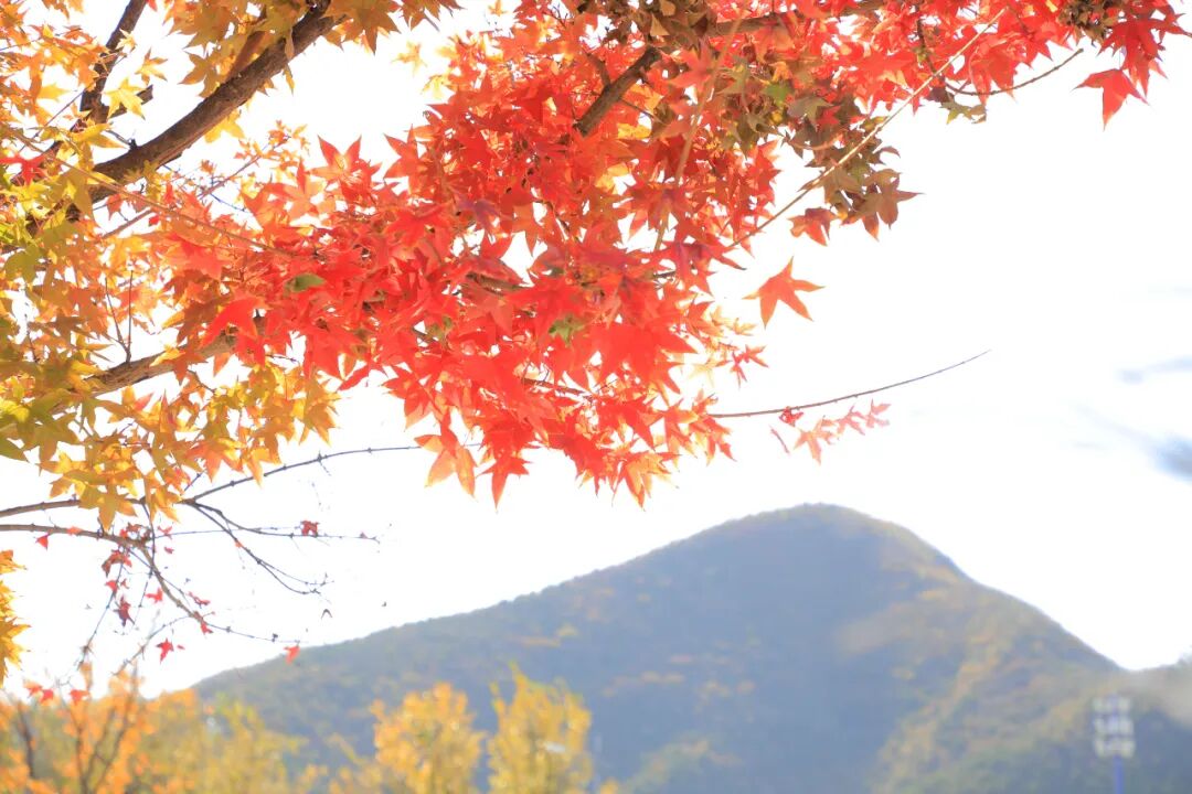 门头沟旅游景点排名