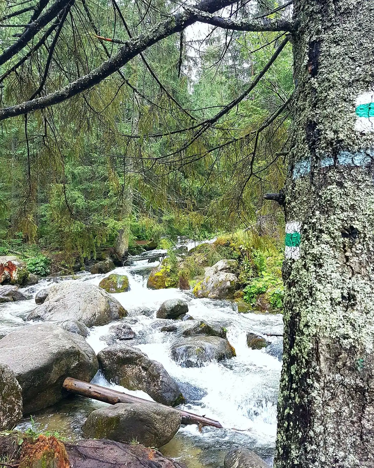 银厂沟旅游攻略