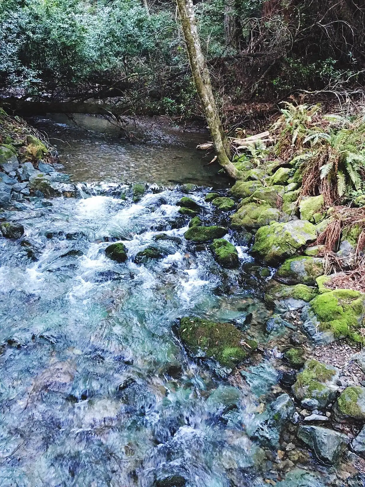 银厂沟旅游攻略