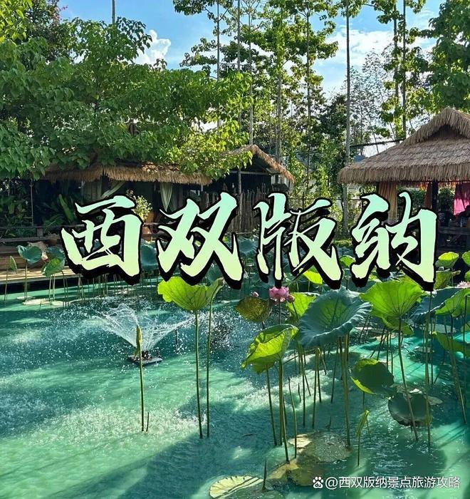 西双版纳旅行多少钱