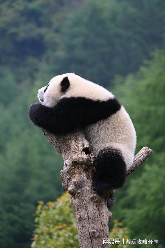 新都桥旅游攻略