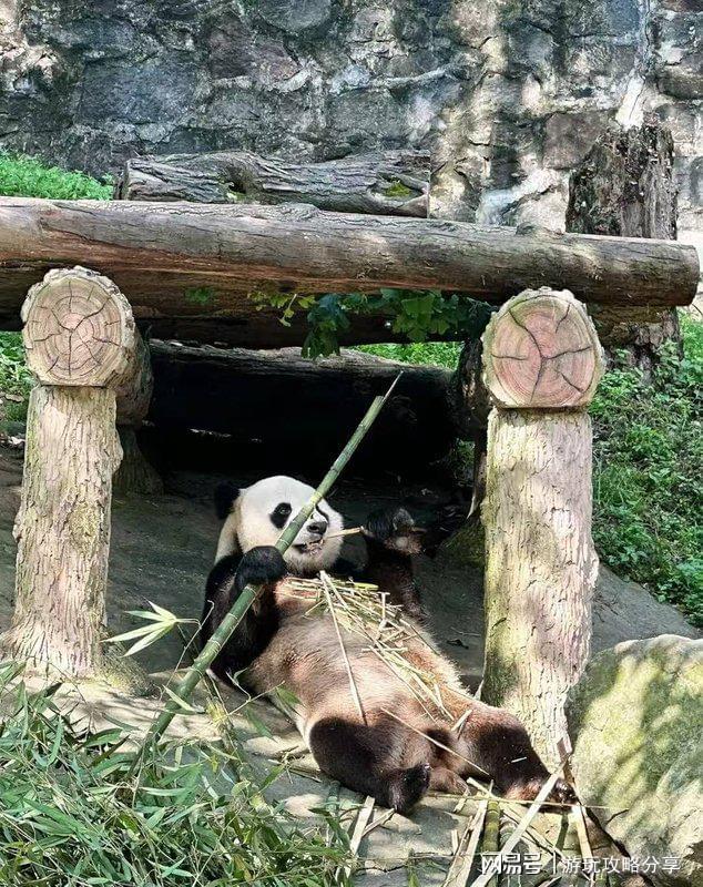 新都桥旅游攻略