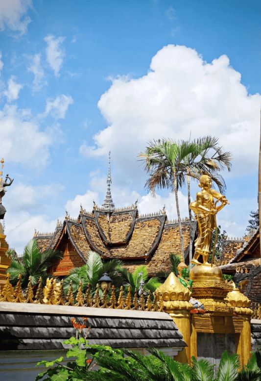 西双版纳旅行多少钱