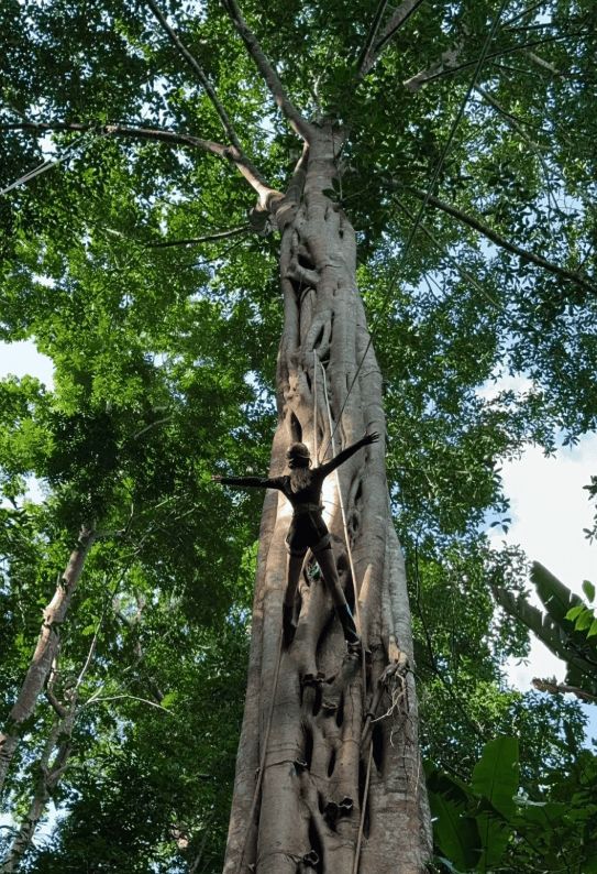 西双版纳旅行多少钱