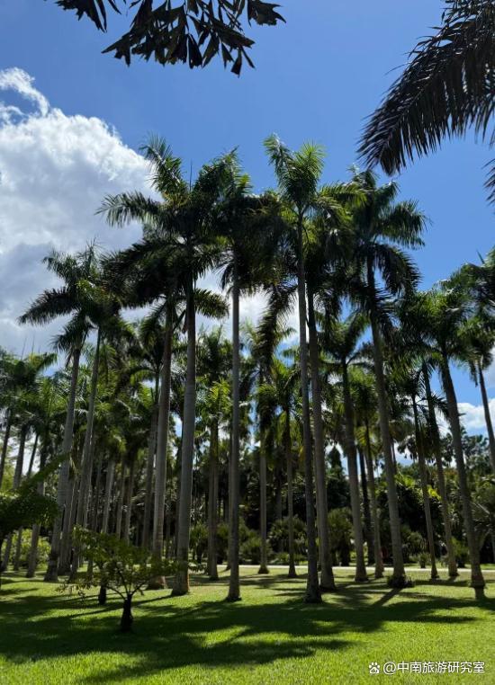 西双版纳旅行多少钱