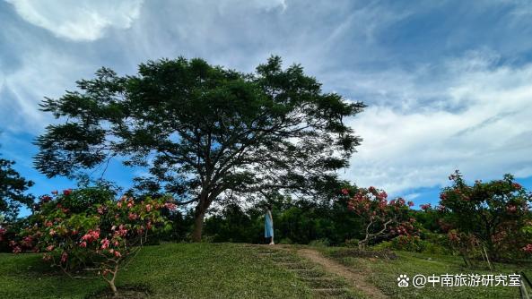 西双版纳旅行多少钱