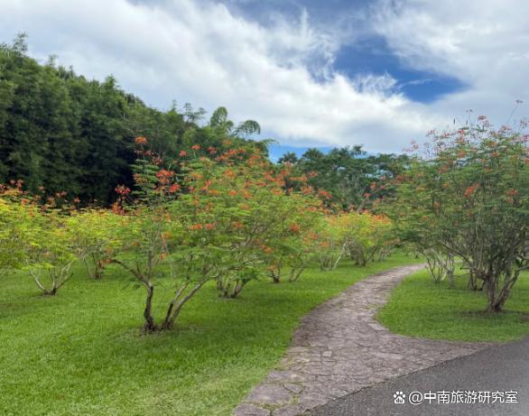 西双版纳旅行多少钱