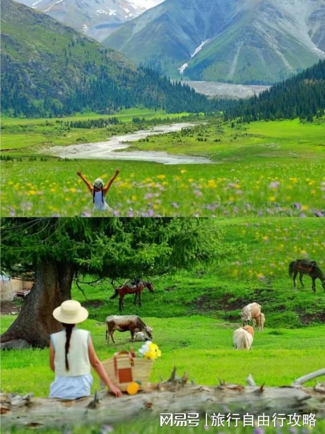 去呼伦贝尔草原旅游要多少钱