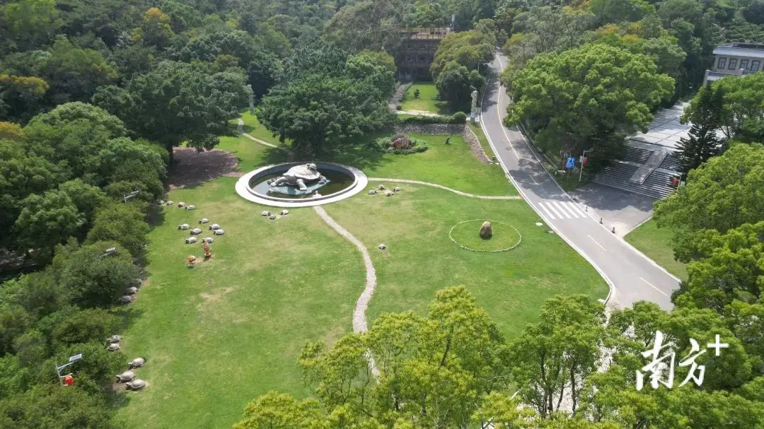 深圳南澳镇旅游攻略