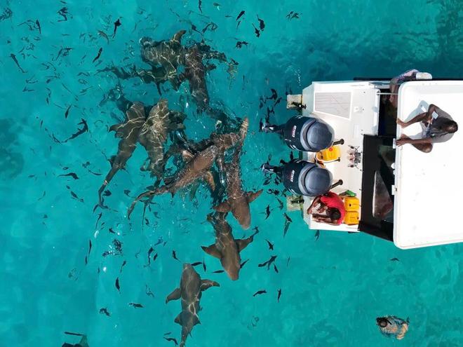 马尔代夫旅游签证价格