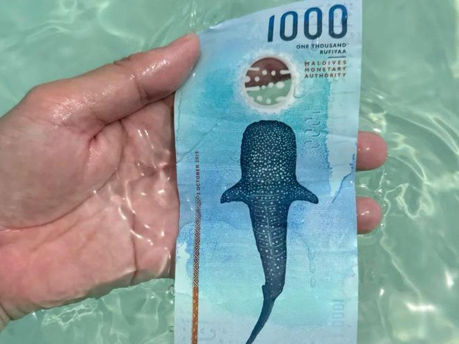 马尔代夫旅游签证价格