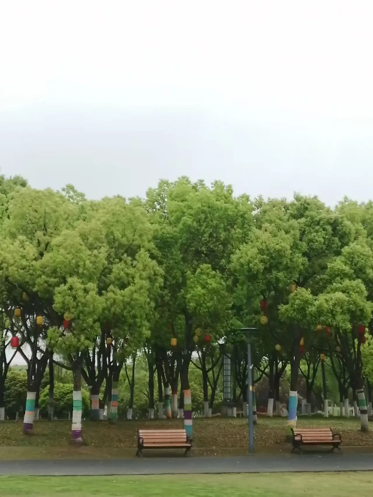 微信图片_20260501195403_2513_105.jpg