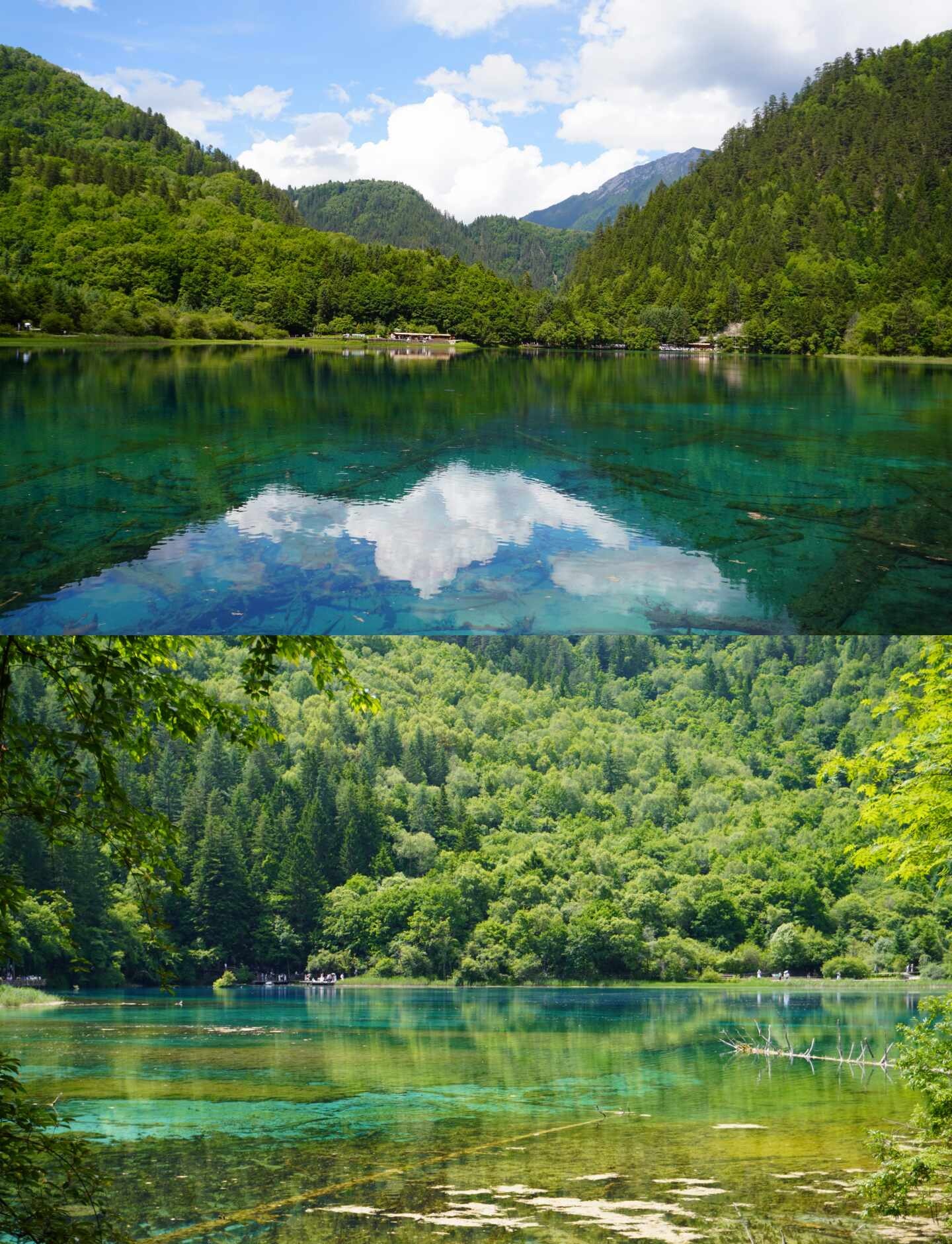 红原到九寨沟旅游线路