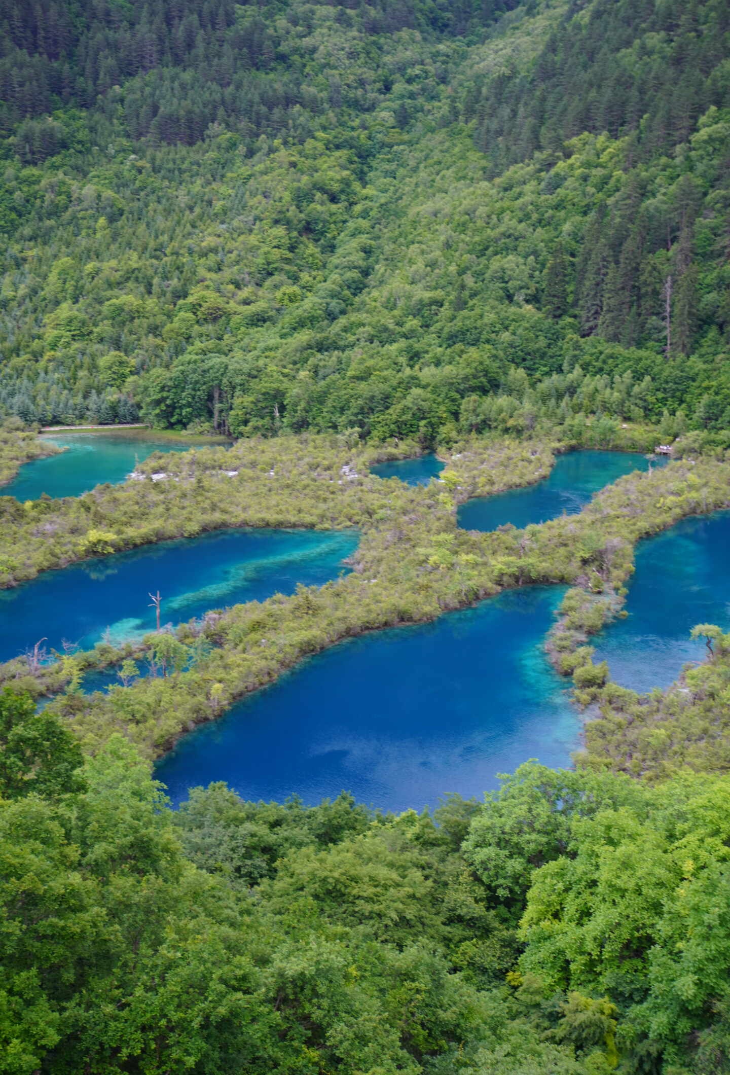 红原到九寨沟旅游线路