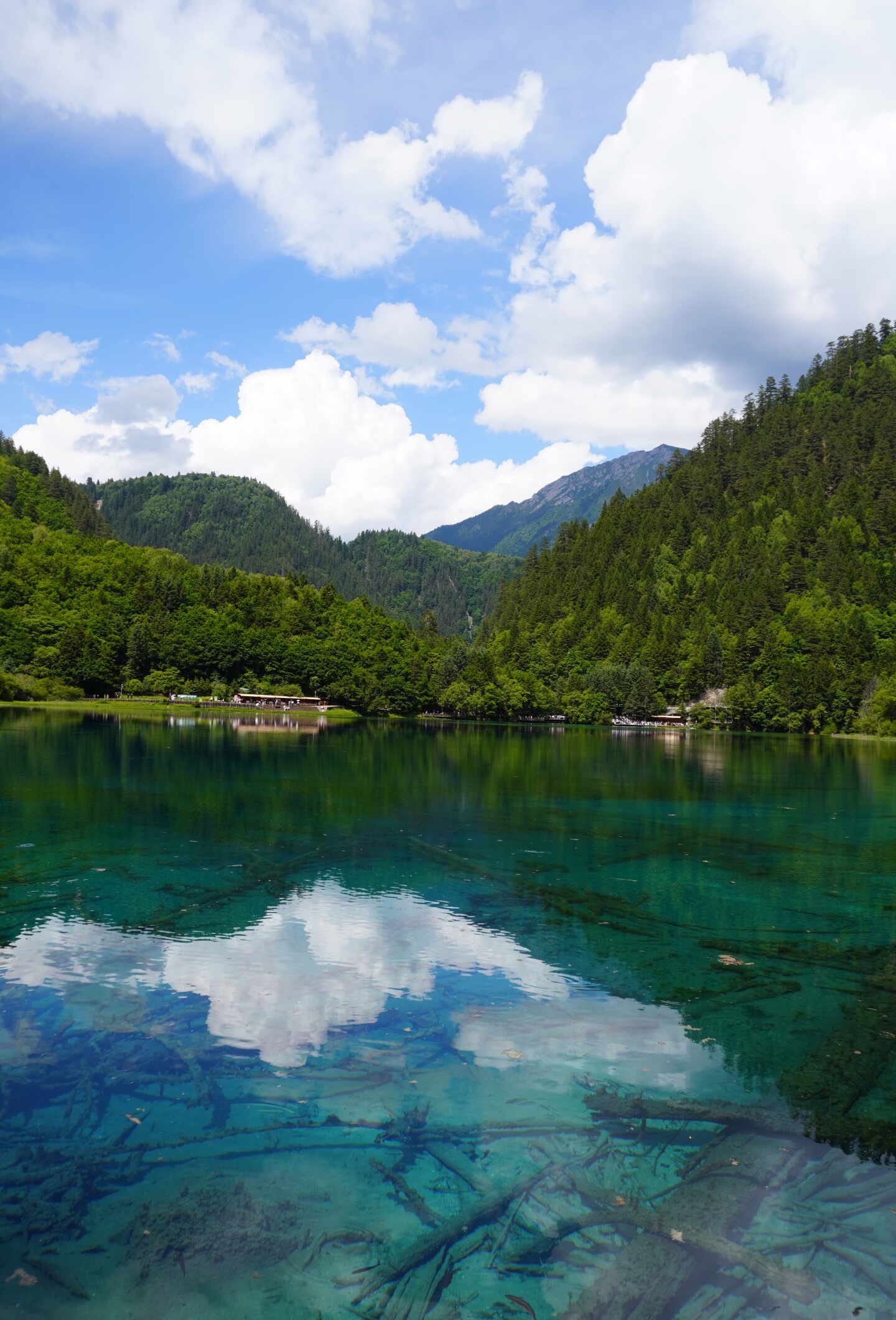 红原到九寨沟旅游线路