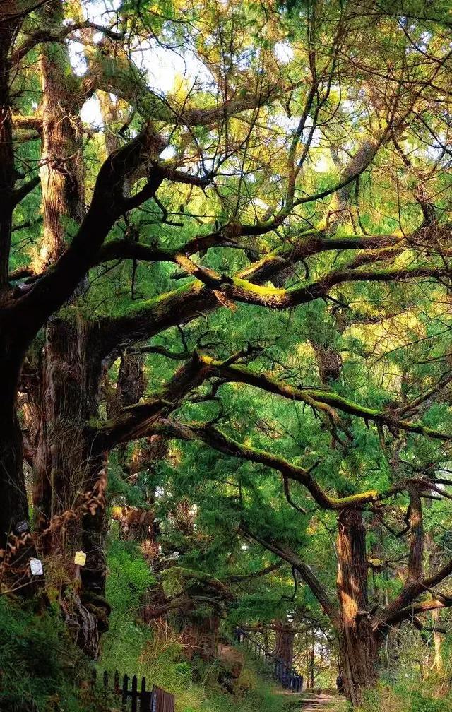 四川周边三日旅游