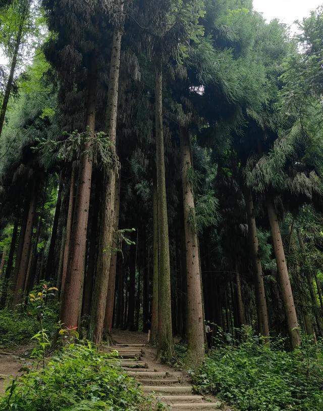 四川周边三日旅游