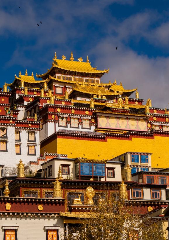 昆明石林九乡旅游攻略