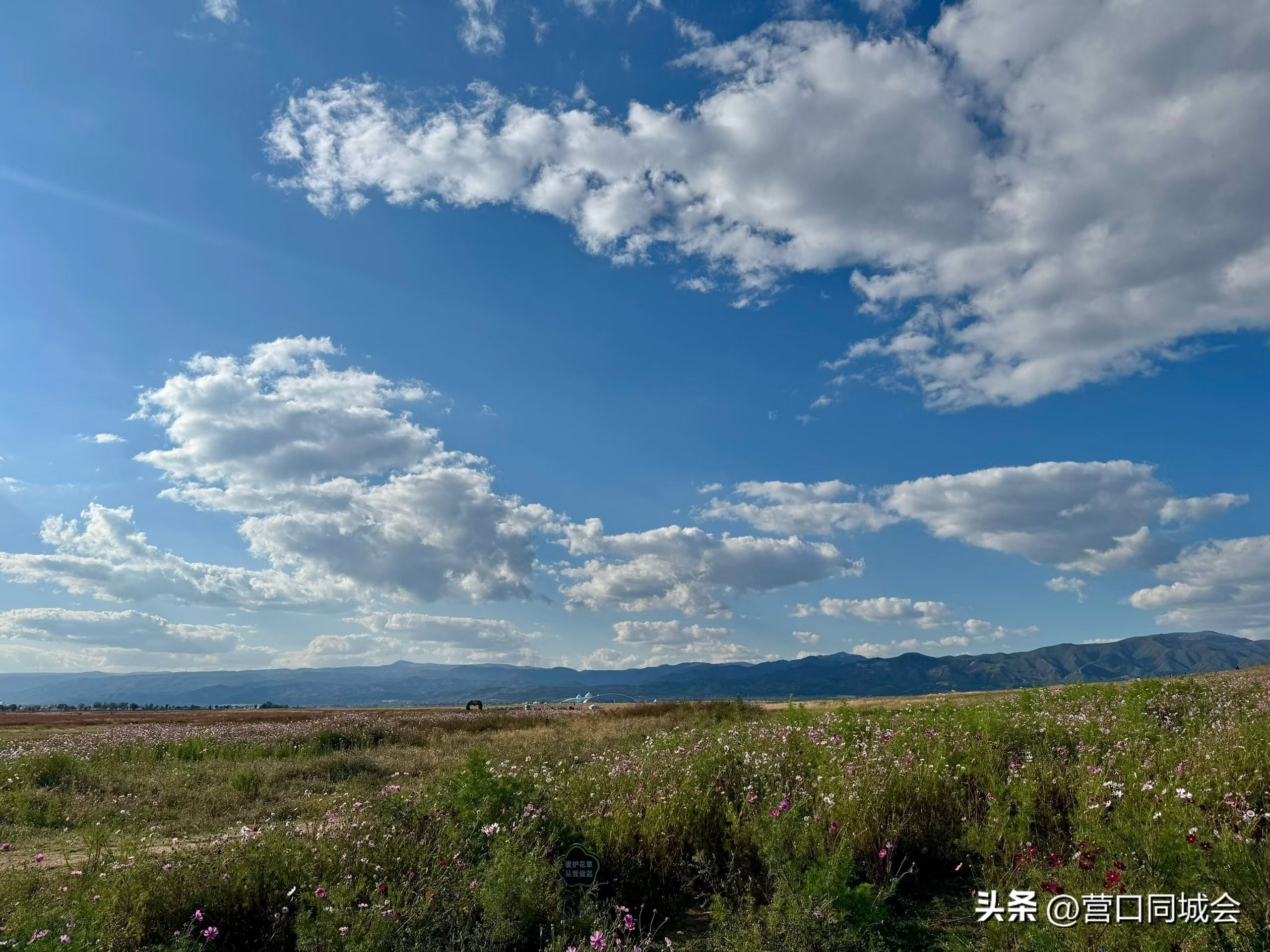 呼和浩特草原旅游攻略