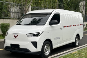 五菱扬光 五菱 230km 实用型客车版 60kW