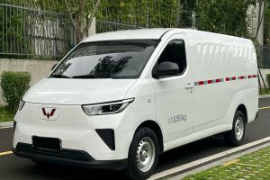 五菱 扬光 2024款230km实用型客车版60kW